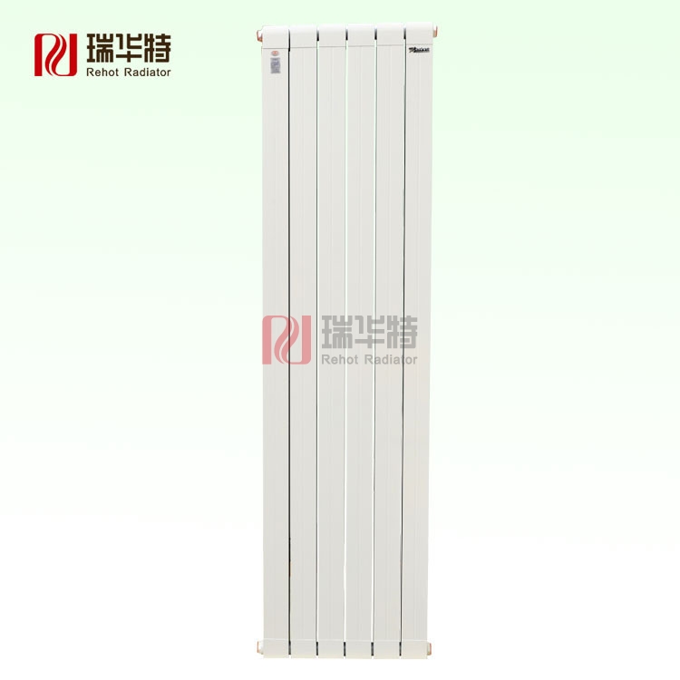 銅鋁復(fù)合暖氣片 雙水道
